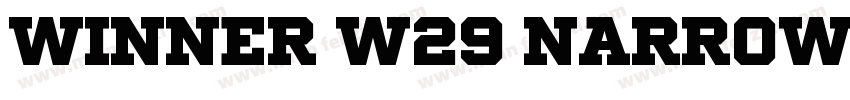 Winner W29 Narrow Re字体转换